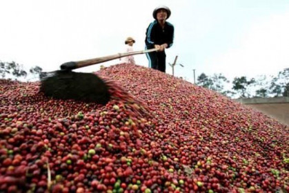 Tận dụng tốt cơ hội, cà phê Việt tự tin chinh phục mục tiêu 4 tỷ USD