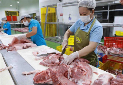 Dự báo nhập khẩu thịt và các sản phẩm thịt sẽ không tăng đột biến
