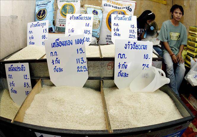 Thị trường nông sản tuần qua: Giá lúa tăng ở một số địa phương