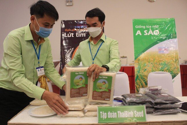 Lùm xùm gạo ngon nhất: Khuyến cáo xét nghiệm ADN gạo ‘ông Cua’ và TBR39