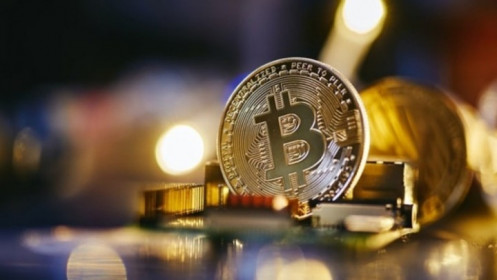 Giá Bitcoin hôm nay 12/11: Bất ngờ giảm giá