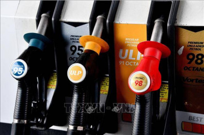 Giá dầu châu Á chiều 14/11 đi xuống