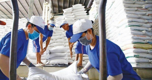 Đơn hàng giảm, xuất khẩu gạo trở thành điểm sáng