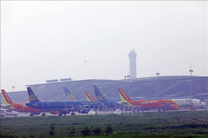 Cục Hàng không Việt Nam lên tiếng việc IPP Air Cargo xin dừng cấp phép bay