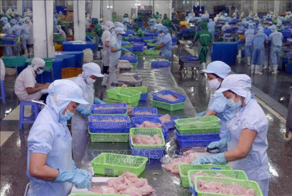 Tăng hiện diện của doanh nghiệp Việt Nam xuất khẩu sang EU