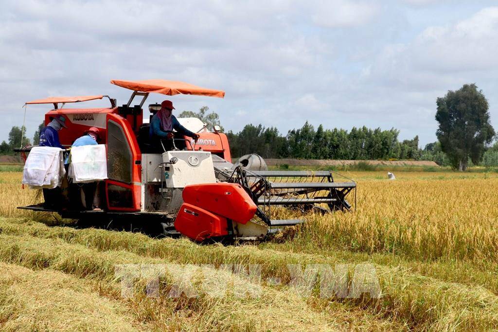 Xuất khẩu gạo của Việt Nam đầu năm 2023 sẽ thuận lợi