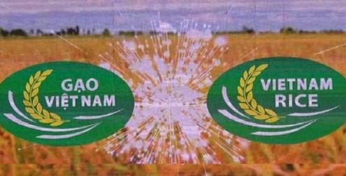 Phê bình Cục Chế biến và phát triển nông sản vì chậm tham mưu chứng nhận nhãn hiệu Gạo quốc gia