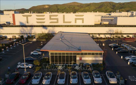 Tesla triệu hồi 321.000 xe tại Mỹ do lỗi đèn hậu