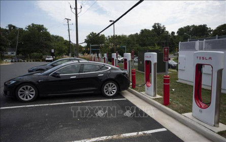 Tesla tiếp tục thu hồi hàng trăm nghìn xe tại Mỹ do vấn đề đèn hậu