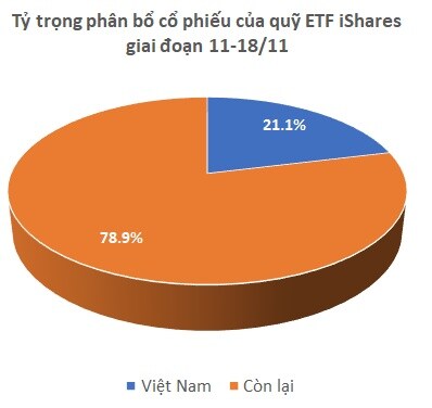 Quỹ ETF của iShares mua mạnh HPG, VRE, NVL sau kết quả review quý 4