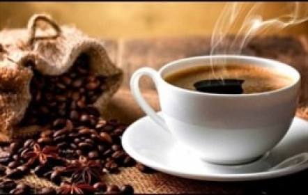 HVA chào bán 19 triệu cp cho 5 cá nhân với giá gấp đôi thị trường để đầu tư vào công ty cà phê