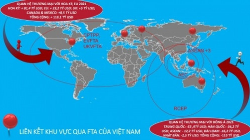 Doanh nghiệp Việt tận dụng EVFTA và các FTA