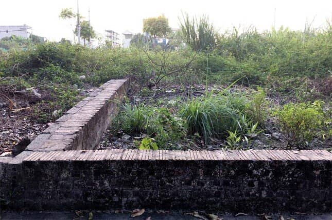 Cò đất qua thời 'ăn dày'
