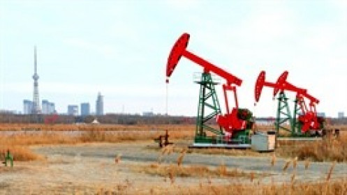 Goldman Sachs dự báo OPEC có thể giảm sản lượng, kỳ vọng giá dầu chạm 110 USD/thùng