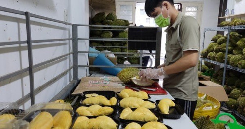 Bộ trưởng Lê MInh Hoan lo nông dân đổ xô trồng sầu riêng, chanh leo
