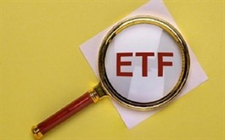 Quỹ ETF ngoại lại mua mạnh cổ phiếu Việt Nam