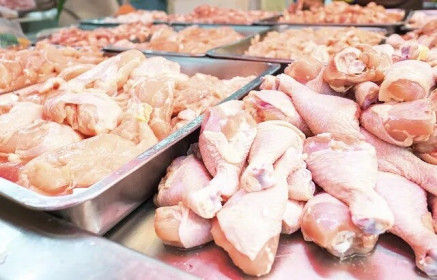 Thịt gà có thể là nguyên nhân gây bùng phát nhiễm khuẩn Salmonella ở nhiều nước