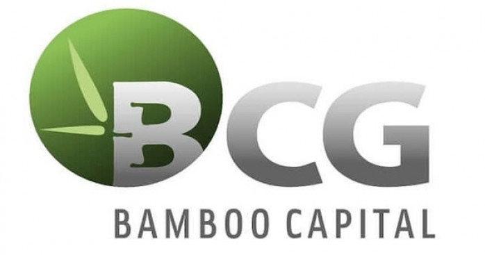 Bamboo Capital giải trình cổ phiếu tăng trần 5 phiên liên tiếp