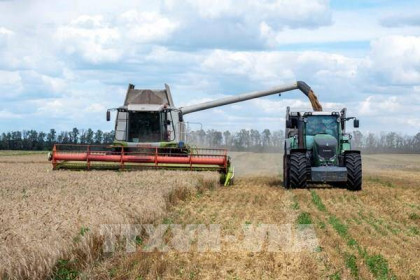Ukraine xuất khẩu ngũ cốc đến các quốc gia dễ bị tổn thương