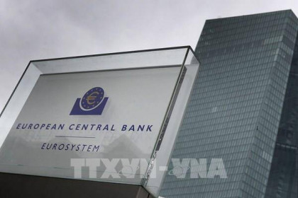 Quan chức ECB ủng hộ tăng lãi suất thêm 50 điểm cơ bản tại cuộc họp tháng 12