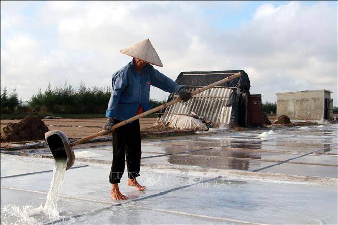 Nam Định sản xuất muối sạch phục vụ xuất khẩu