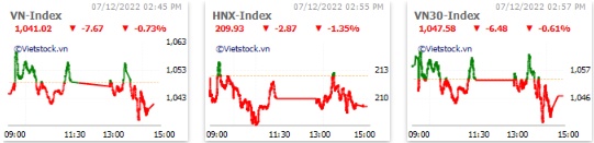Nhịp đập Thị trường 07/12: VIC giúp VN-Index hãm đà rơi