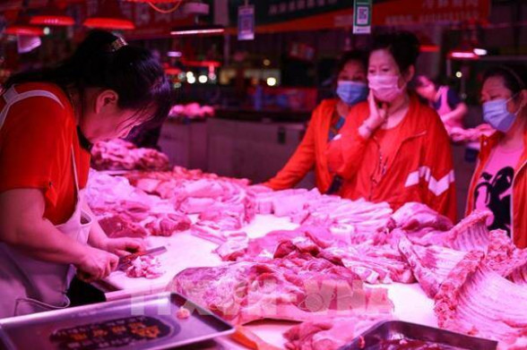 Giá lợn hơi Trung Quốc tiếp tục giảm