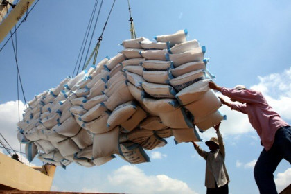 Điểm lại thị trường nông sản tuần: Giá gạo Việt Nam tăng tuần thứ ba liên tiếp