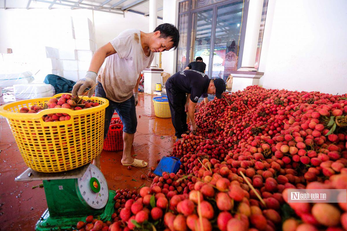 Sự hiện diện của nông sản Việt Nam tại thị trường Hoa Kỳ còn hạn chế