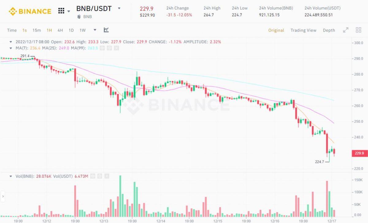 BNB dẫn đầu cú lao dốc của thị trường tiền mã hóa sáng ngày 17/12