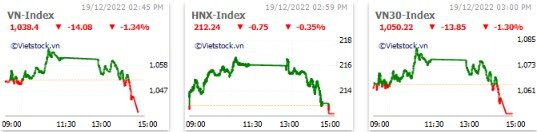 Nhịp đập Thị trường 19/12: Large Cap bị bán mạnh, VN-Index “hẫng chân” rơi mất 14 điểm cuối phiên