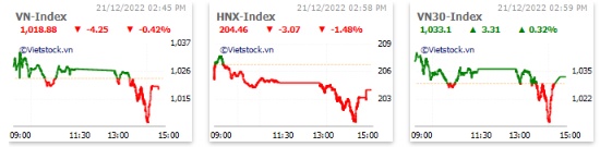Nhịp đập Thị trường 21/12: Lực cầu bắt đáy giải nguy, VN-Index thoát phiên giảm sâu