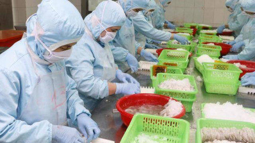 Doanh nghiệp Việt đối mặt nhiều thách thức mới từ thị trường EU