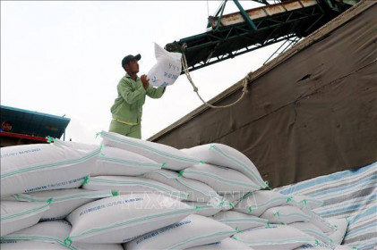 Thị trường nông sản tuần qua: Giá gạo ở Đồng bằng sông Cửu Long giảm nhẹ