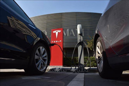 Tesla tạm dừng sản xuất ô tô tại nhà máy ở Thượng Hải