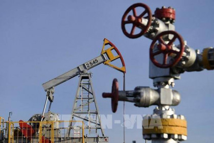 Nga: Chúng tôi không có ý định bán dầu mỏ cho những nước áp giá trần