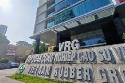 GVR giảm 27% kế hoạch lãi sau thuế năm 2022