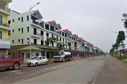 Bắt mạch thị trường bất động sản Việt Nam và dự báo năm 2023