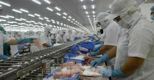 Mỹ, Trung Quốc 'soán ngôi' nhập khẩu thủy sản Việt Nam