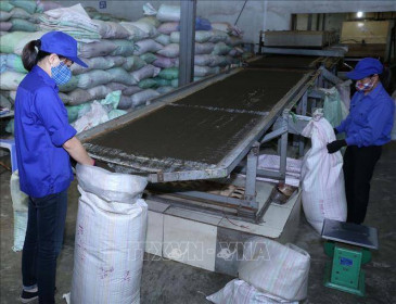 Doanh nghiệp xuất khẩu tập trung tìm thị trường mới