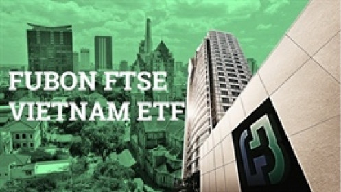 Ham mê bắt đáy chứng khoán Việt, quỹ Fubon ETF “ôm” lỗ gần 37% trong năm 2022