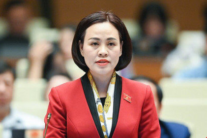 ĐBQH Trần Thị Hồng Thanh kiến nghị bốn vấn đề quan trọng khi thực hiện Quy hoạch tổng thể quốc gia