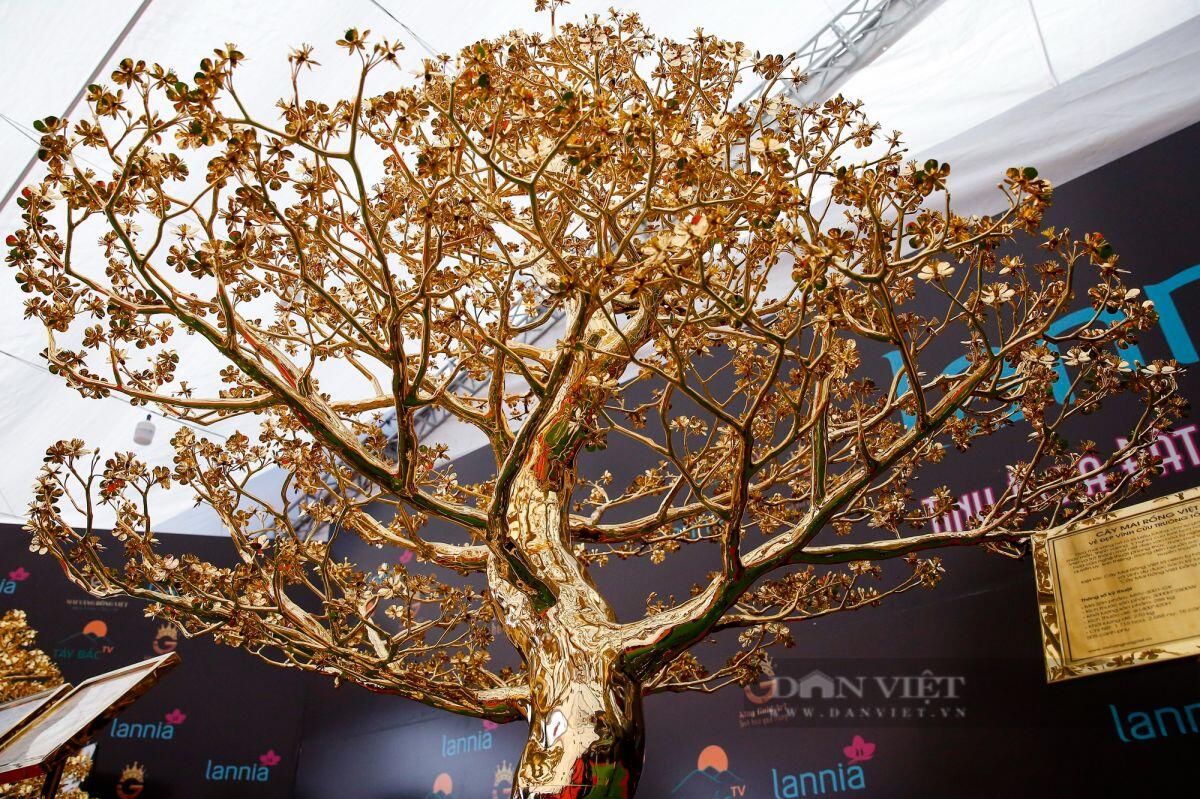 Ngắm cây mai mạ vàng 24k lớn nhất Việt Nam được chào bán 5,5 tỷ