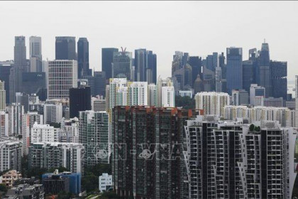 Tác động của quy định thuế mới đối với doanh nghiệp Singapore