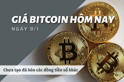 Giá Bitcoin ngày 9/1: Chưa thể tạo đà kéo các đồng tiền số khác bật tăng