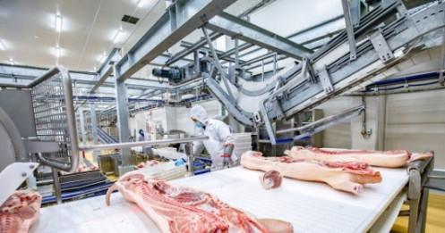 Triển vọng sáng năm 2023 của doanh nghiệp sản xuất thịt