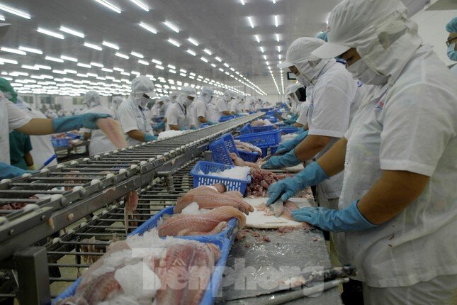 Việt Nam lọt top 3 nước xuất khẩu thủy sản lớn nhất thế giới