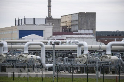 Châu Âu đổ xô tích trữ dầu diesel trước lệnh cấm sản phẩm dầu Nga
