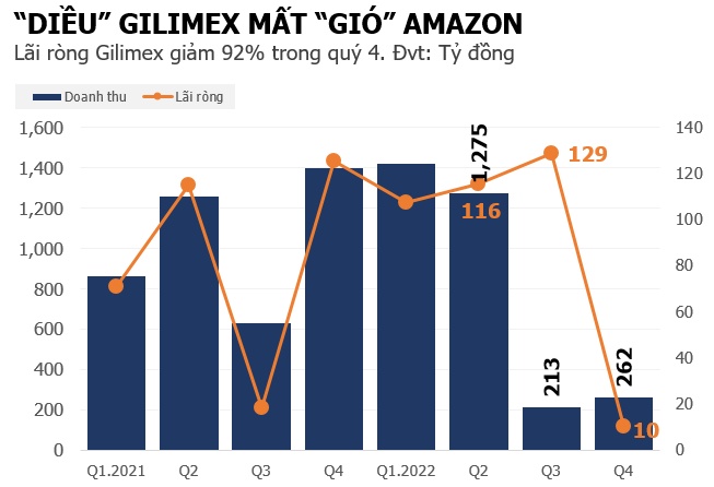 Thiếu Amazon, lãi ròng của Gilimex giảm 92% trong quý 4