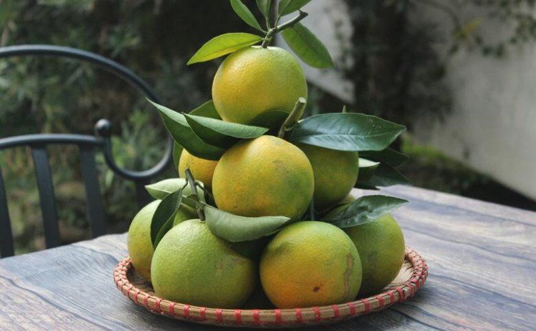Tết thắp hương nhớ đặt 5 loại quả này trên bàn thờ, cả năm phát tài bình an
